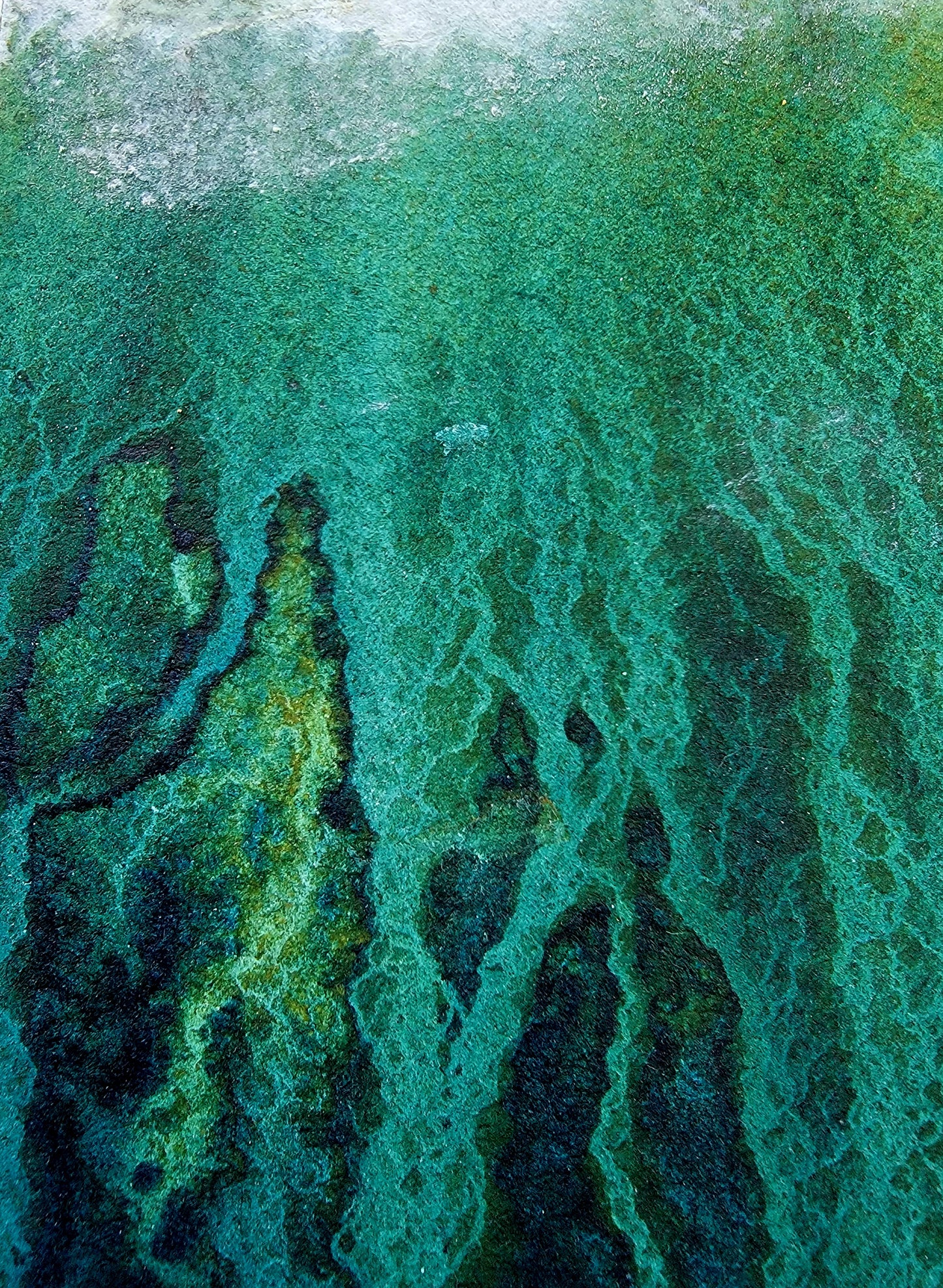 "Tethered" 12x16 Original Watercolor Painting