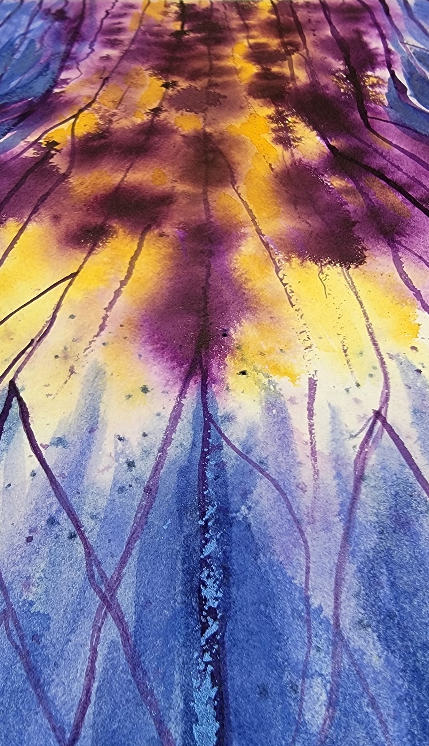 Inside the Iris