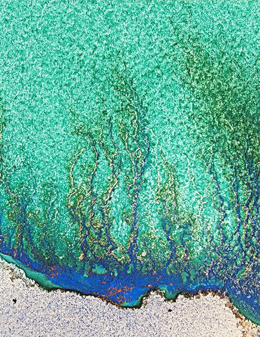 By the Light of the Periwinkle Moon - Magnification No.1 8x10 Print