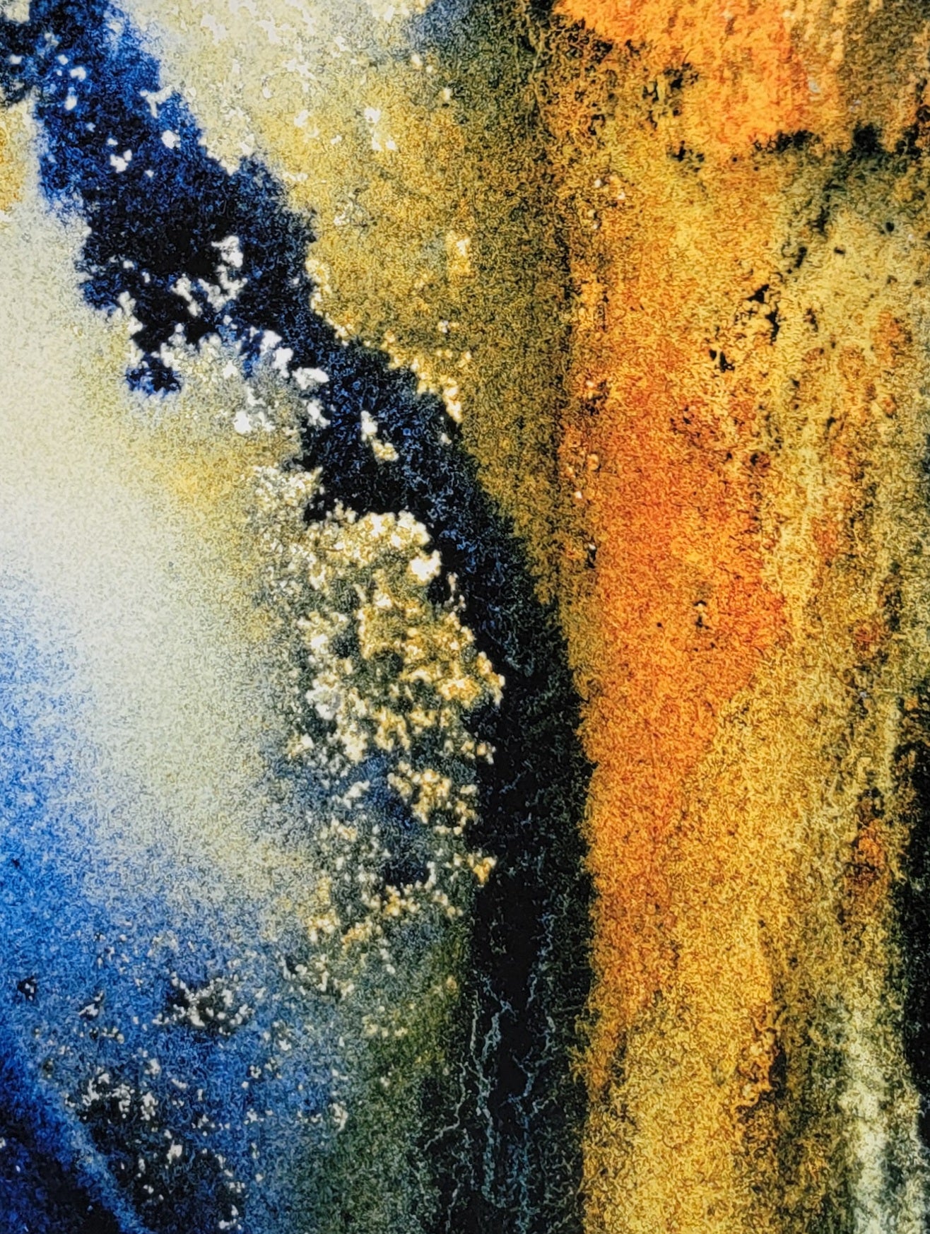 Sentinel - Magnification No.1 8x10 Print