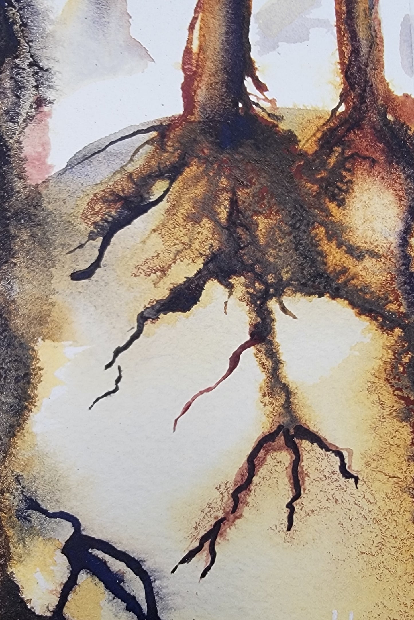 The Value of Roots 12x9 Original Watercolor Painting