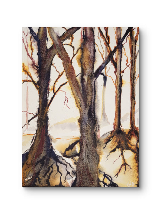 The Value of Roots 12x9 Original Watercolor Painting