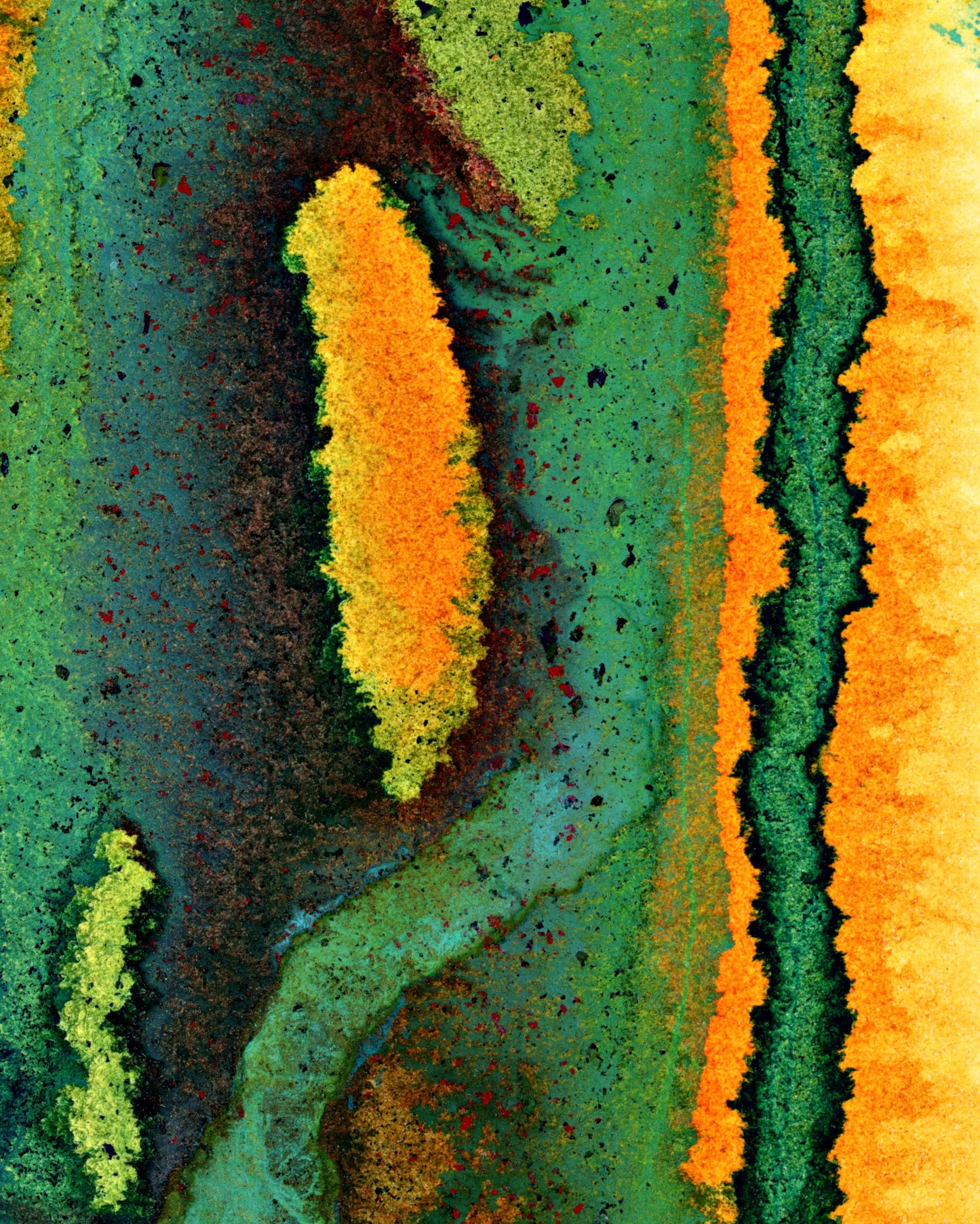 Strata - Magnification No.1 8x10 Print