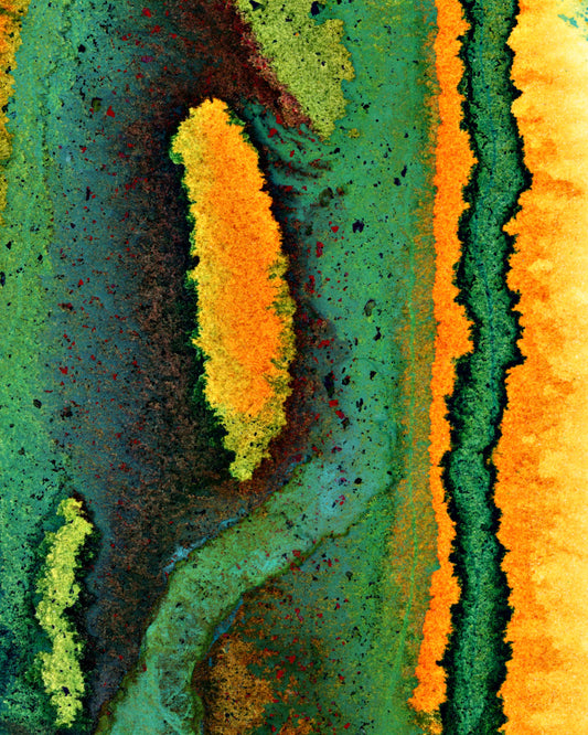 Strata - Magnification No.1 8x10 Print