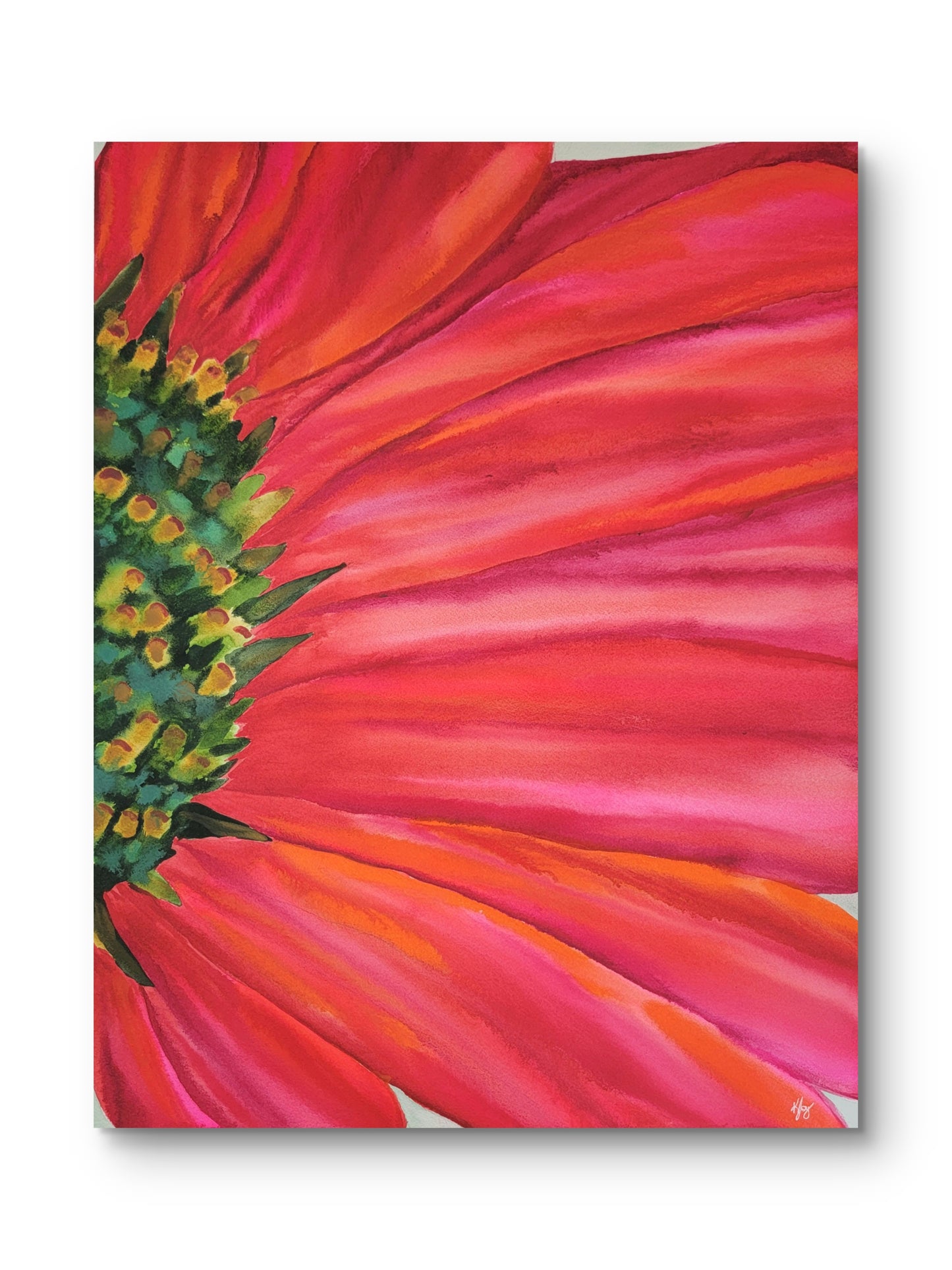Echinacea Fireworks — 24x18 Original Watercolor Painting