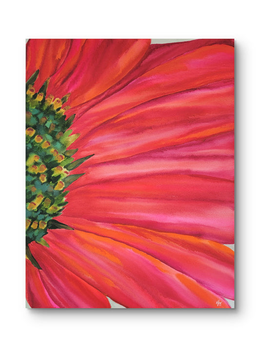 Echinacea Fireworks — 24x18 Original Watercolor Painting