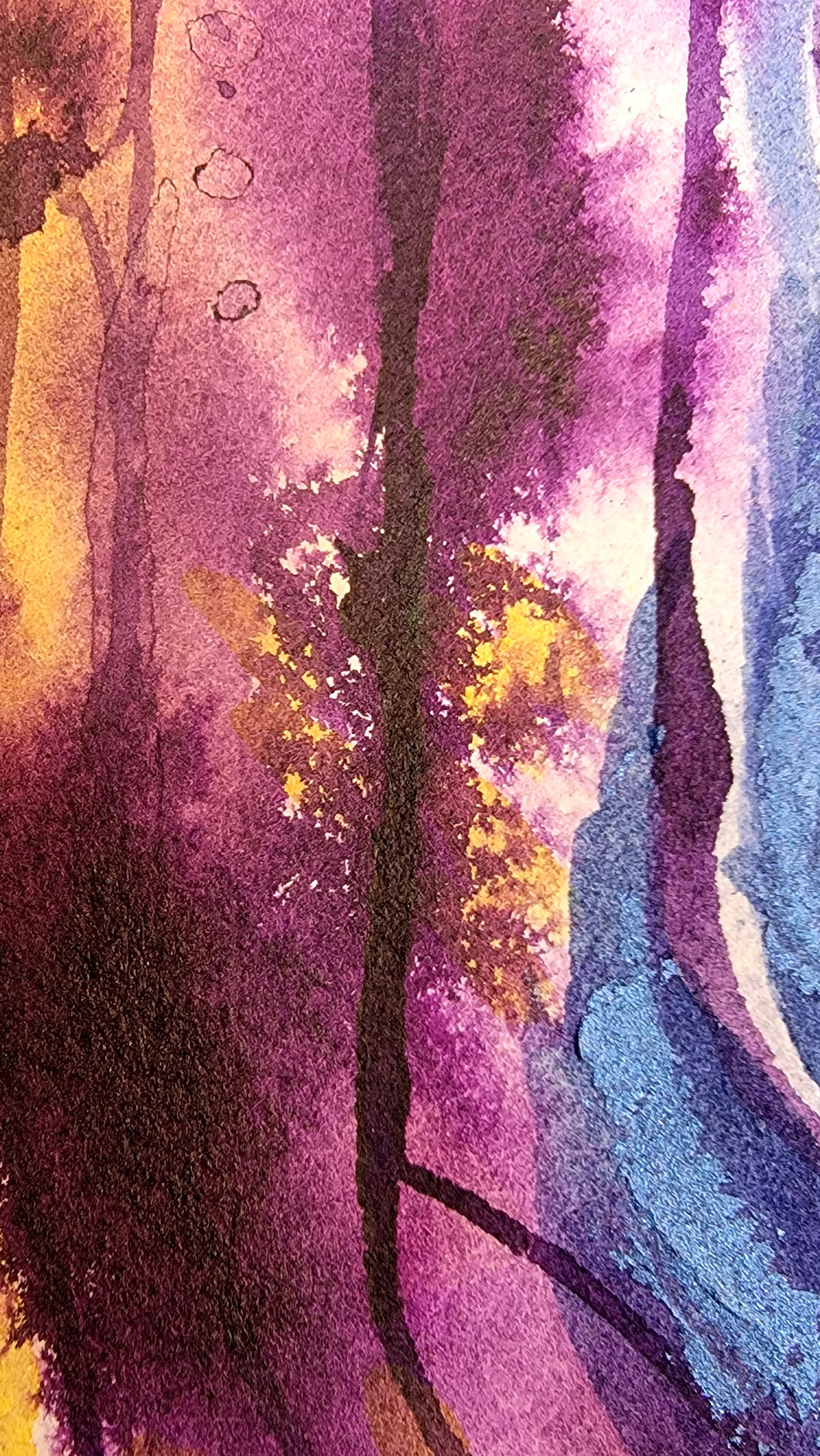 Inside the Iris