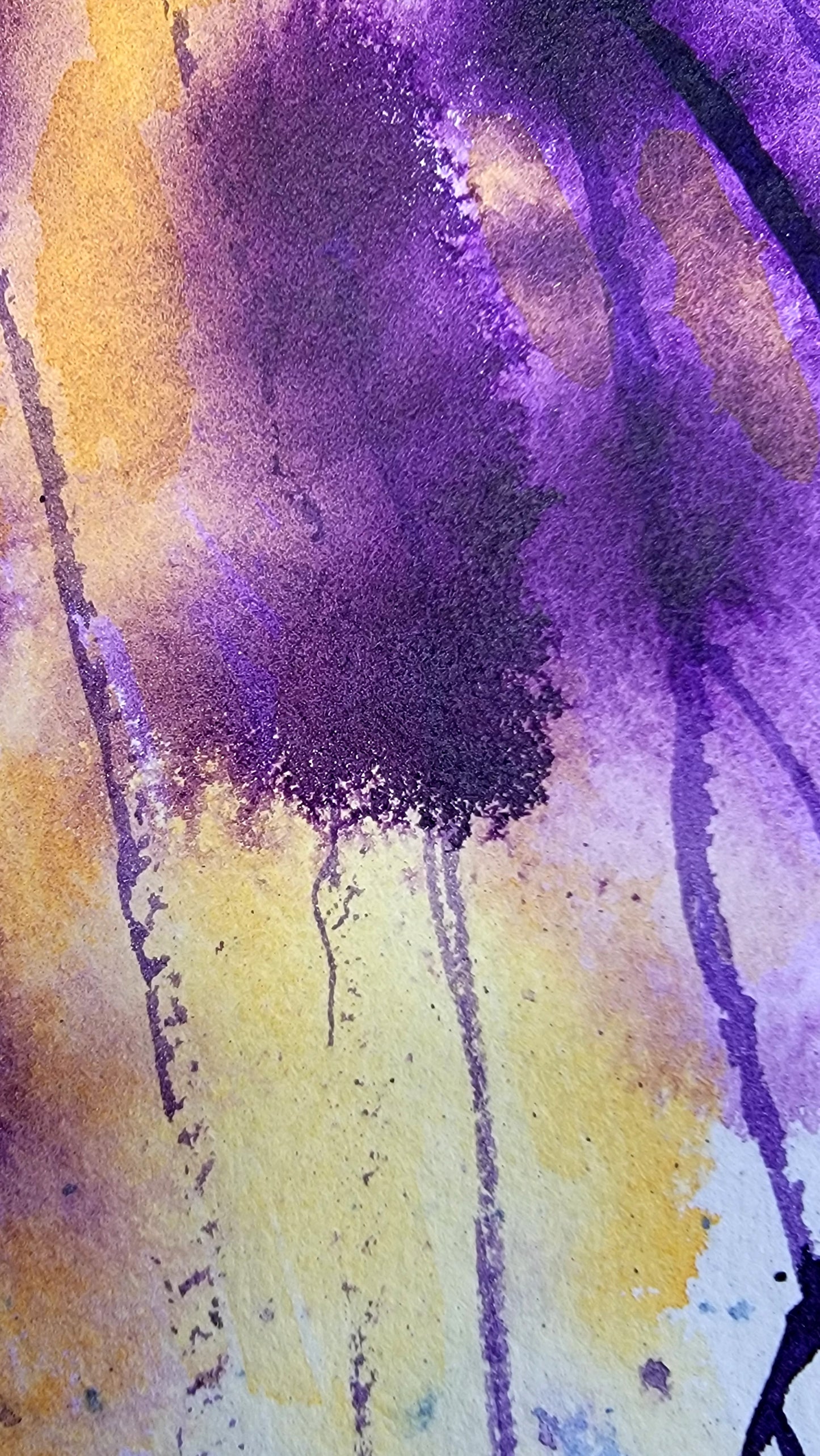 Inside the Iris