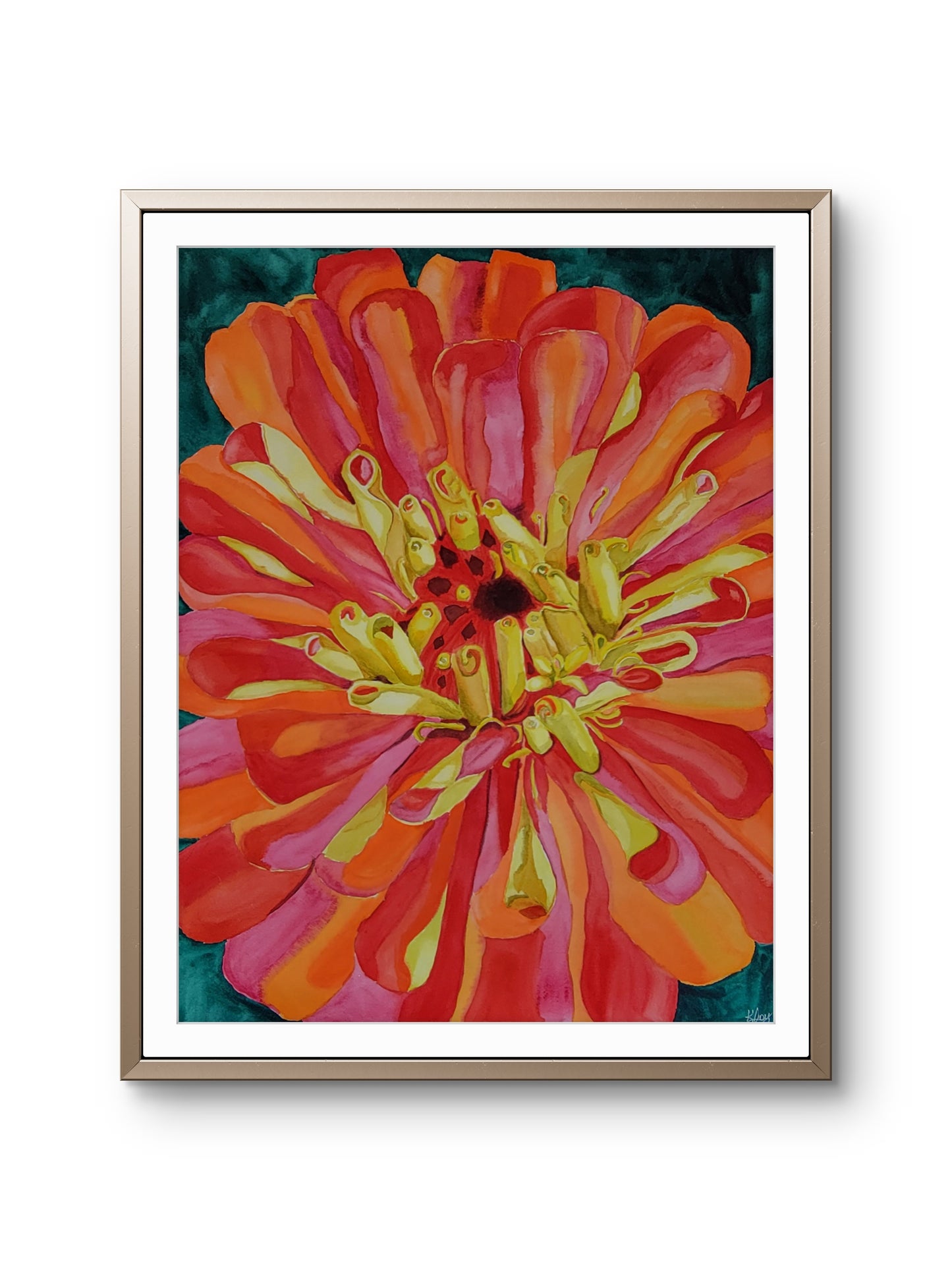 Wild Zinnia — 24x18 Original Watercolor Painting