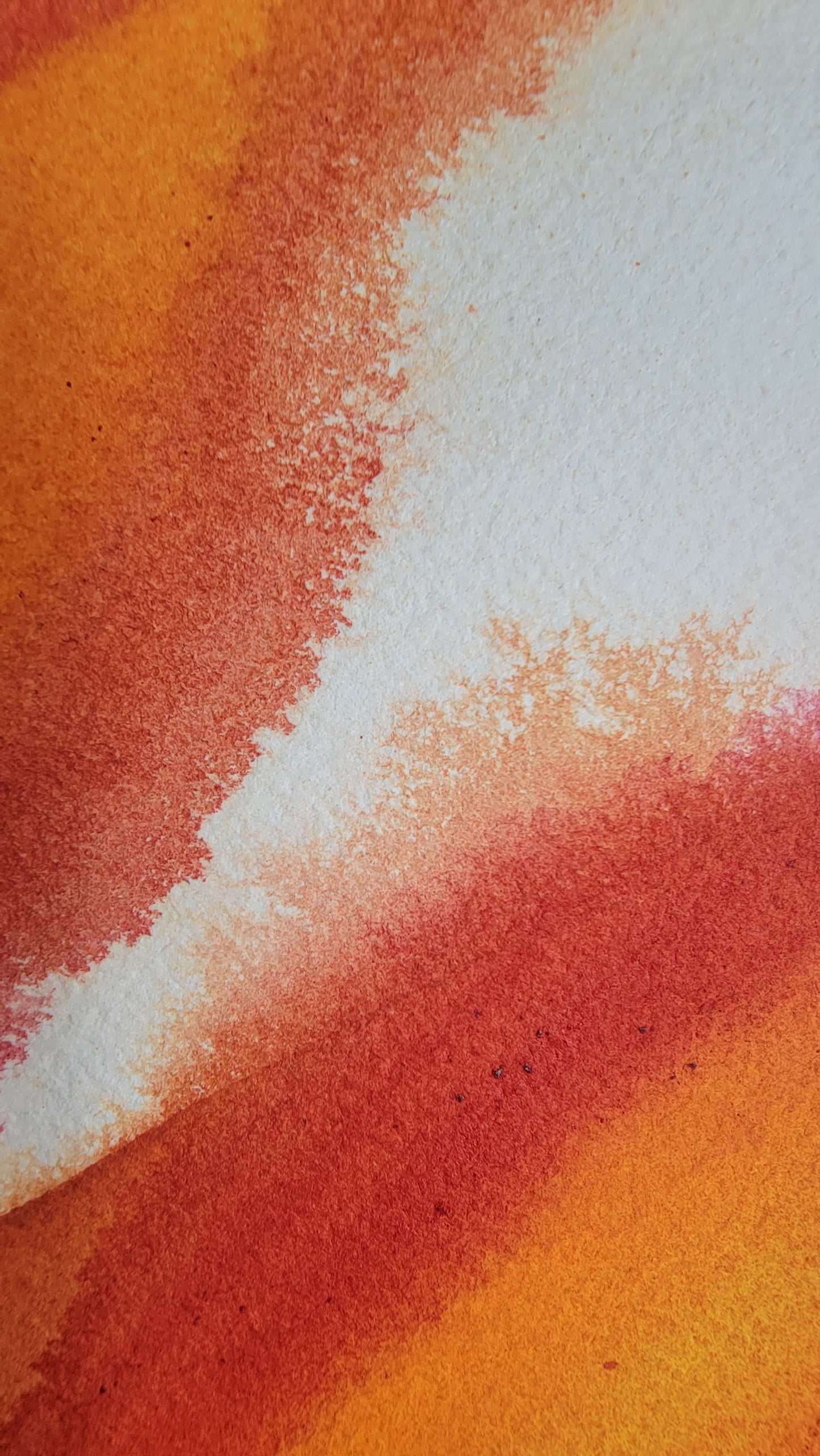 Echinacea Solar Flare — 24x18 Original Watercolor Painting