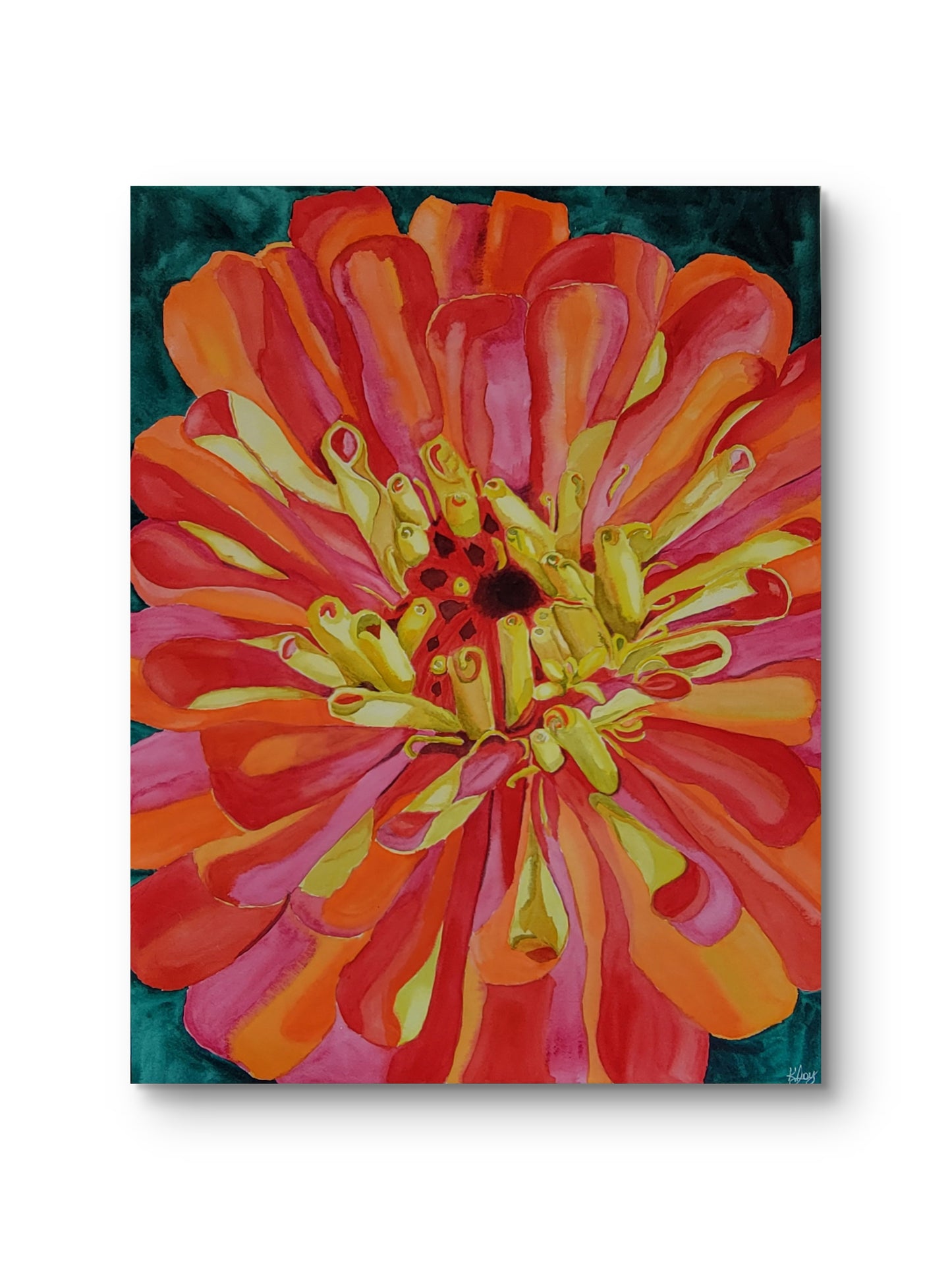 Wild Zinnia — 24x18 Original Watercolor Painting