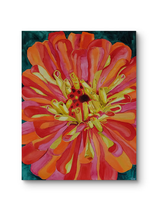 Wild Zinnia — 24x18 Original Watercolor Painting